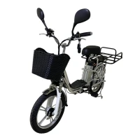 Электровелосипед Колхозник Motax E-NOT EXPRESS LUX 6013 К