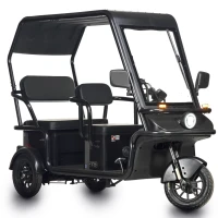 Электротрицикл Wanshida NIPLA 570 60V 1000Вт